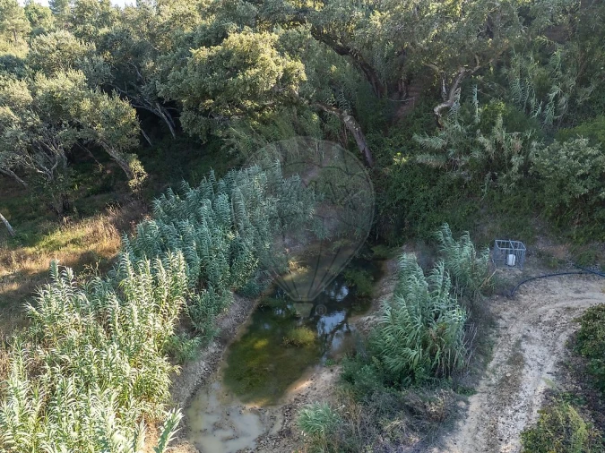 Terreno para Venda em Vale do Paraiso Foto 19