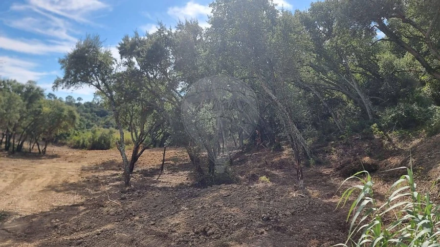 Terreno para Venda em Vale do Paraiso Foto 9