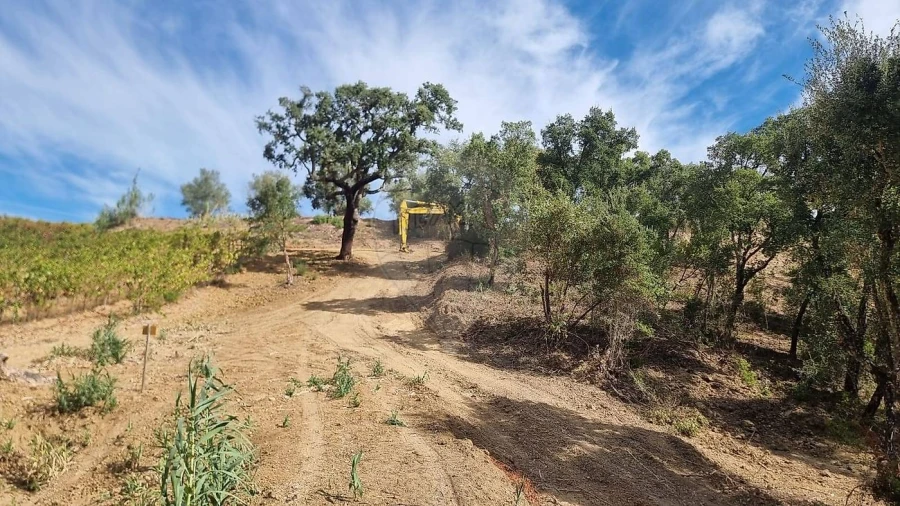 Terreno para Venda em Vale do Paraiso Foto 4