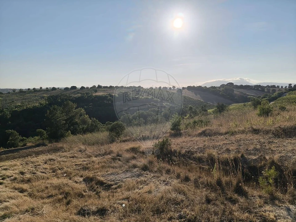 Terreno para Venda em Vale do Paraiso Foto 13