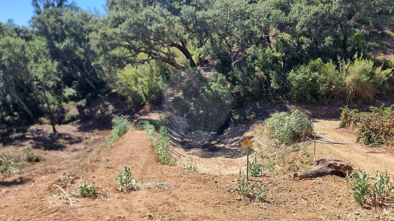Terreno para Venda em Vale do Paraiso Foto 1
