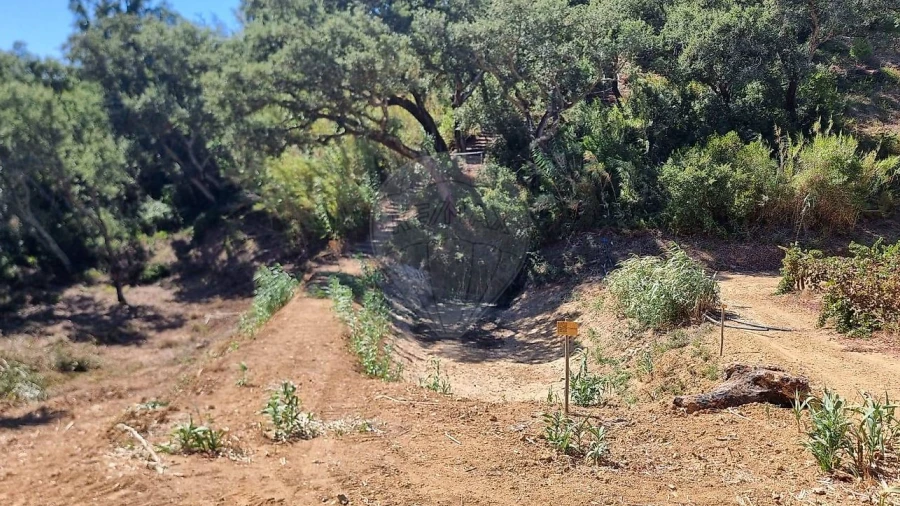 Terreno para Venda em Vale do Paraiso