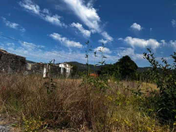 Moradia para Venda em Pico
