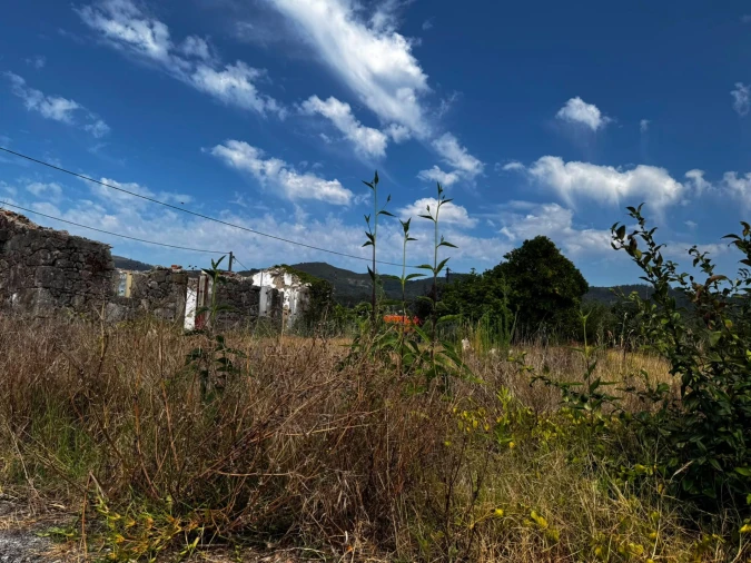 Moradia para Venda em Pico Foto 11