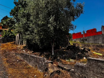 Moradia T3 para Venda em Cervães