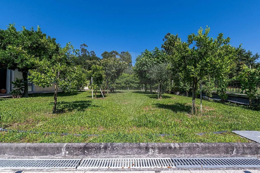 Moradia T6 para Venda em Ferreiros, Prozelo e Besteiros Foto 20
