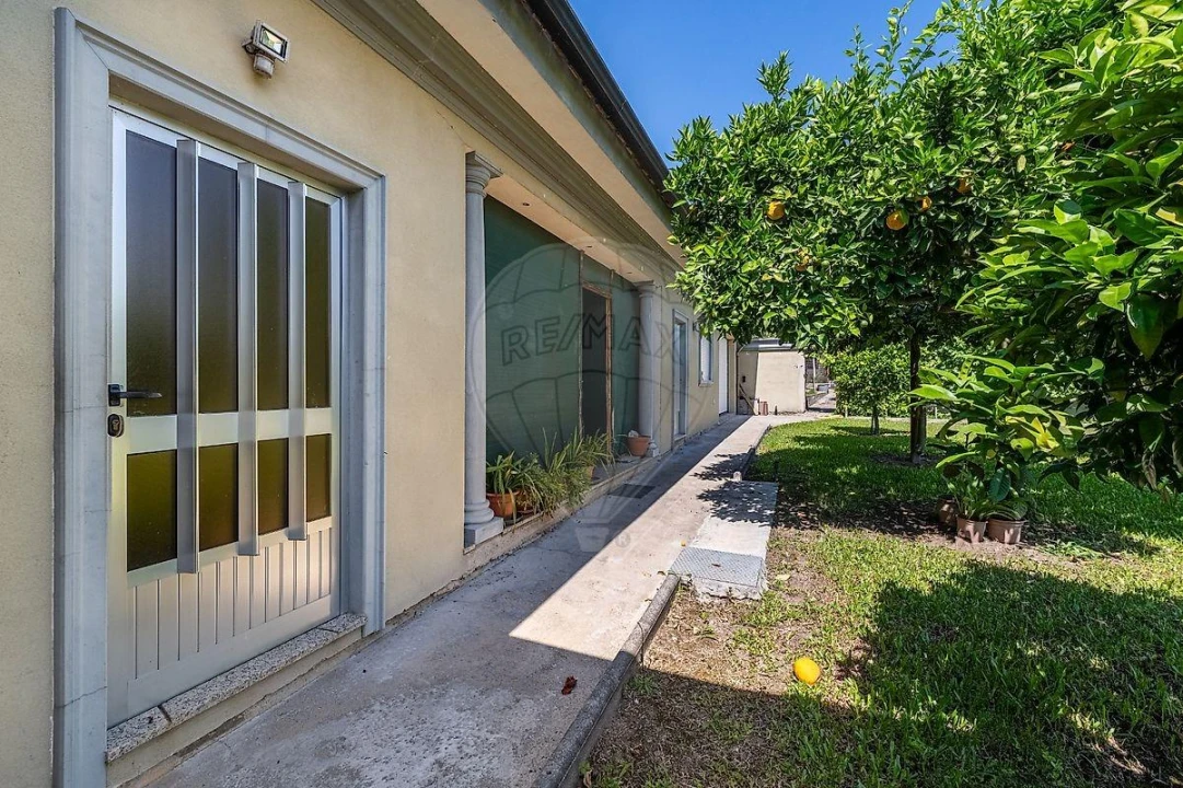 Moradia T6 para Venda em Ferreiros, Prozelo e Besteiros Foto 21