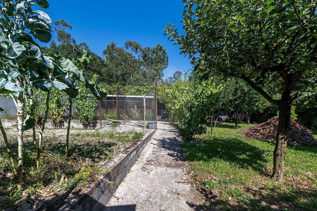 Moradia T6 para Venda em Ferreiros, Prozelo e Besteiros Foto 23