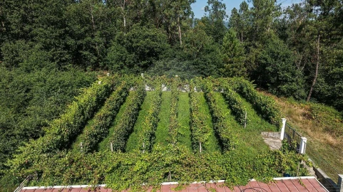Moradia T6 para Venda em Ferreiros, Prozelo e Besteiros