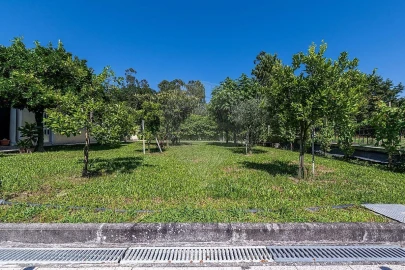Moradia T6 para Venda em Ferreiros, Prozelo e Besteiros