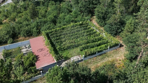 Moradia T6 para Venda em Ferreiros, Prozelo e Besteiros