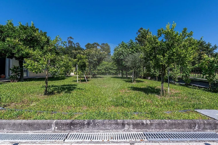 Moradia T6 para Venda em Ferreiros, Prozelo e Besteiros Foto 20