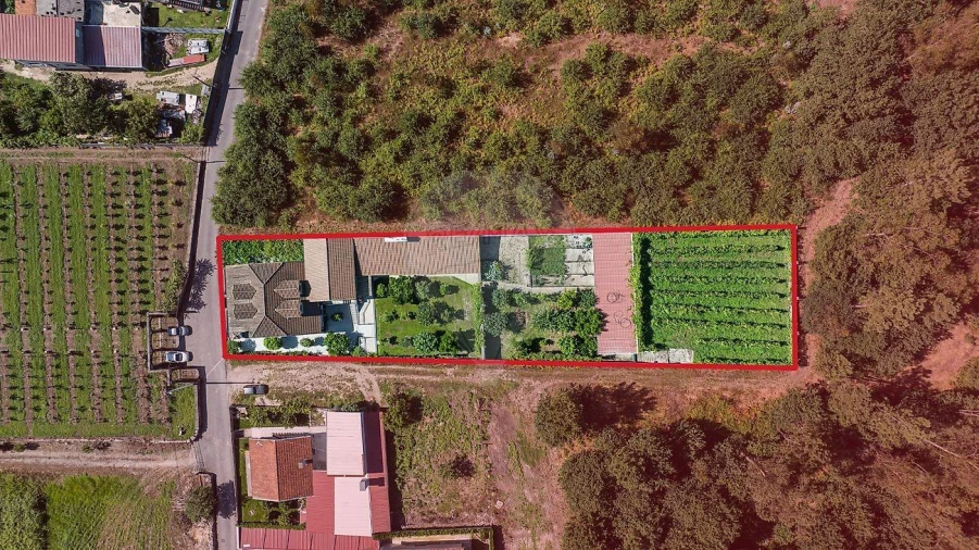 Moradia T6 para Venda em Ferreiros, Prozelo e Besteiros Foto 3