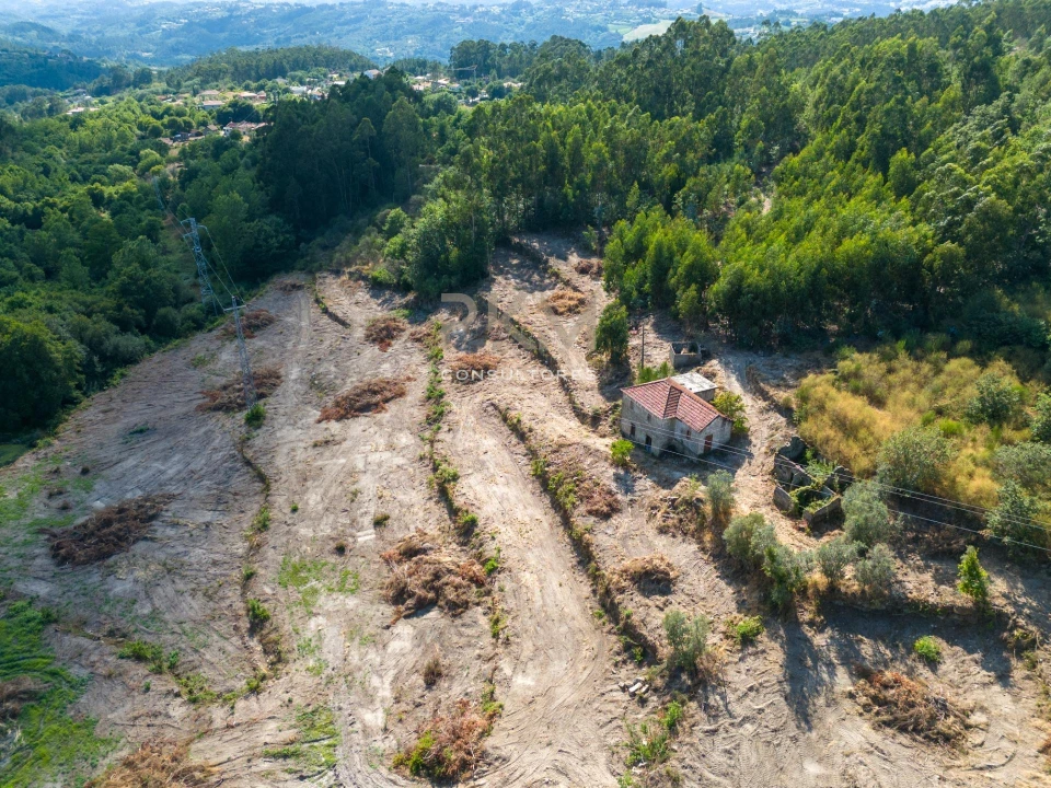 Moradia para Venda em Espírito Santo, Nossa Senhora da Graça e São Simão Foto 13