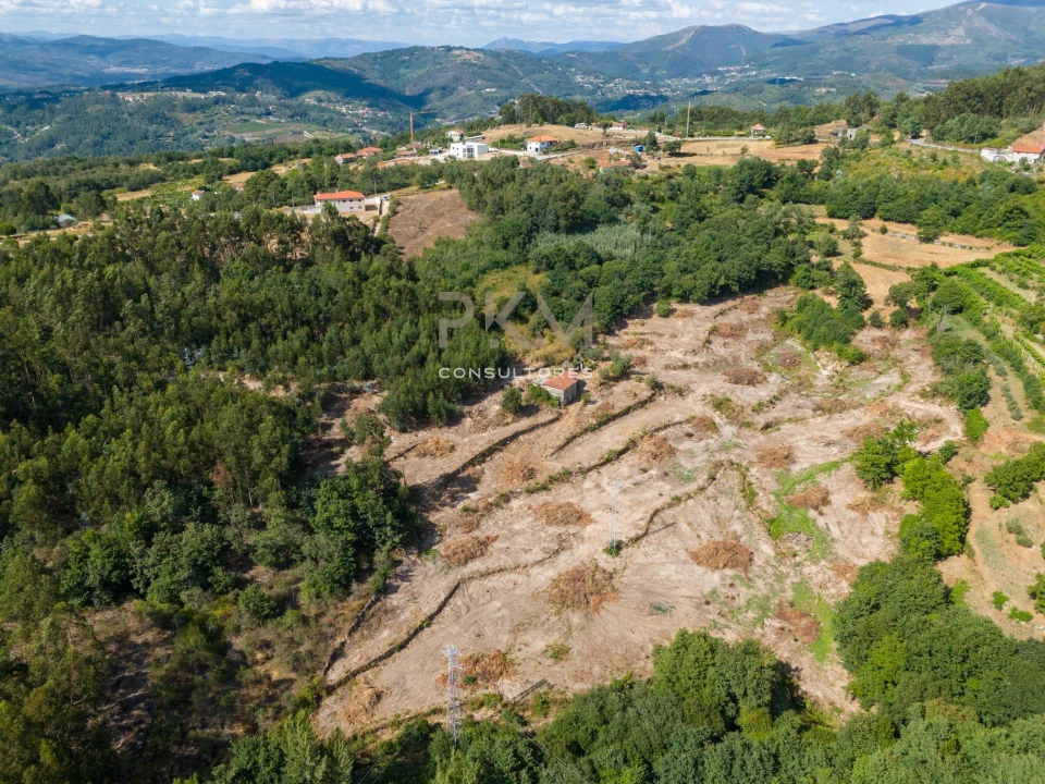 Moradia para Venda em Espírito Santo, Nossa Senhora da Graça e São Simão Foto 28
