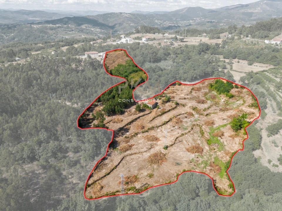 Moradia para Venda em Santiago e São Simão de Litém e Albergaria dos Doze Foto 1