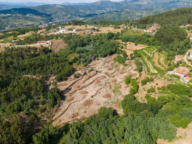 Moradia para Venda em Espírito Santo, Nossa Senhora da Graça e São Simão Foto 29