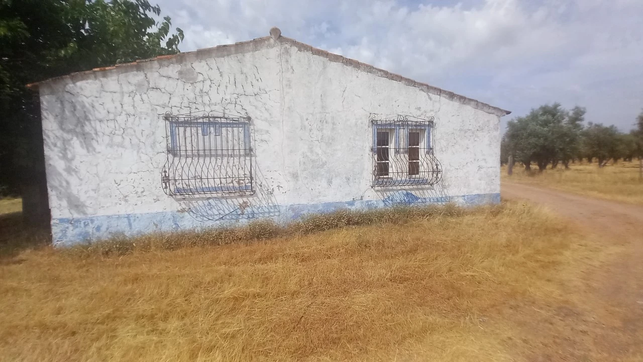 Moradia T8 para Venda em Barbacena e Vila Fernando Foto 19