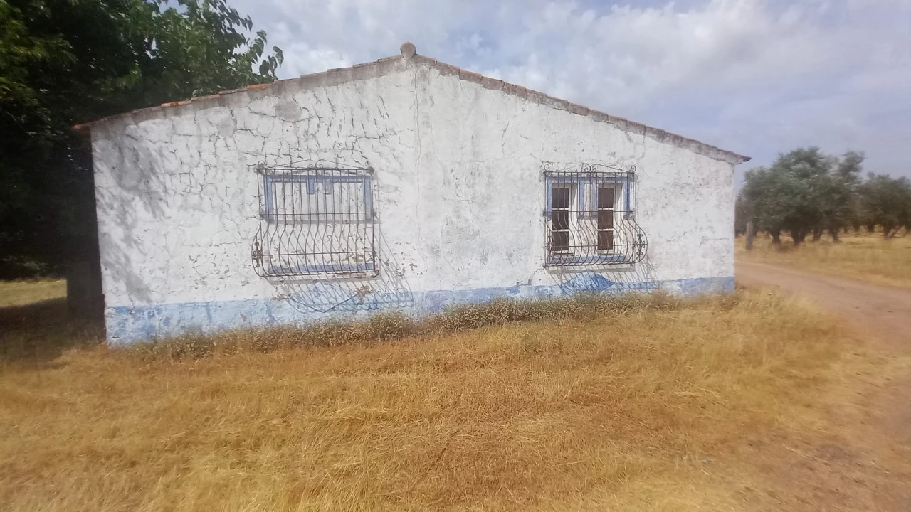 Moradia T8 para Venda em Barbacena e Vila Fernando Foto 20
