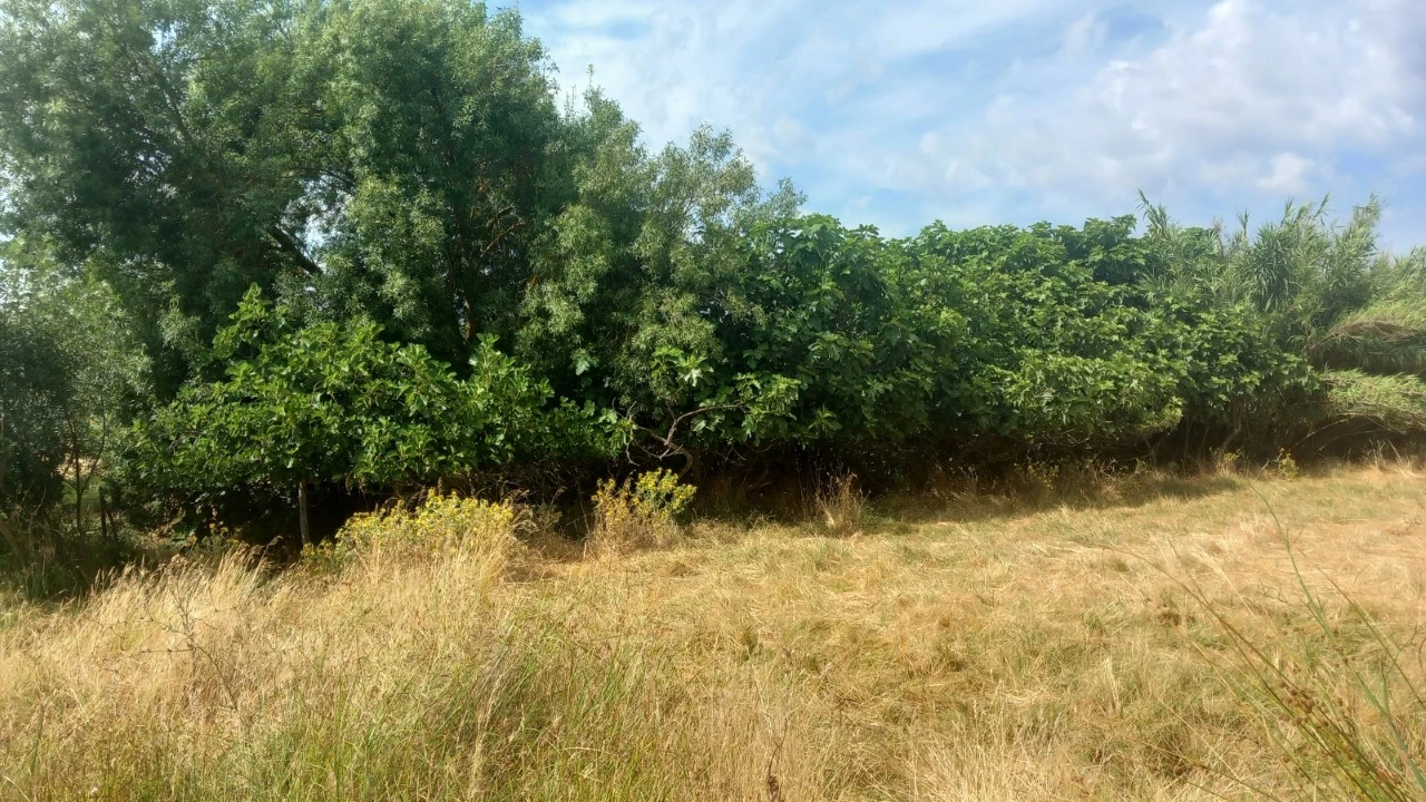 Moradia T8 para Venda em Barbacena e Vila Fernando Foto 25