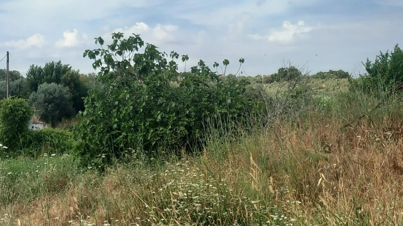 Moradia T8 para Venda em Barbacena e Vila Fernando Foto 30