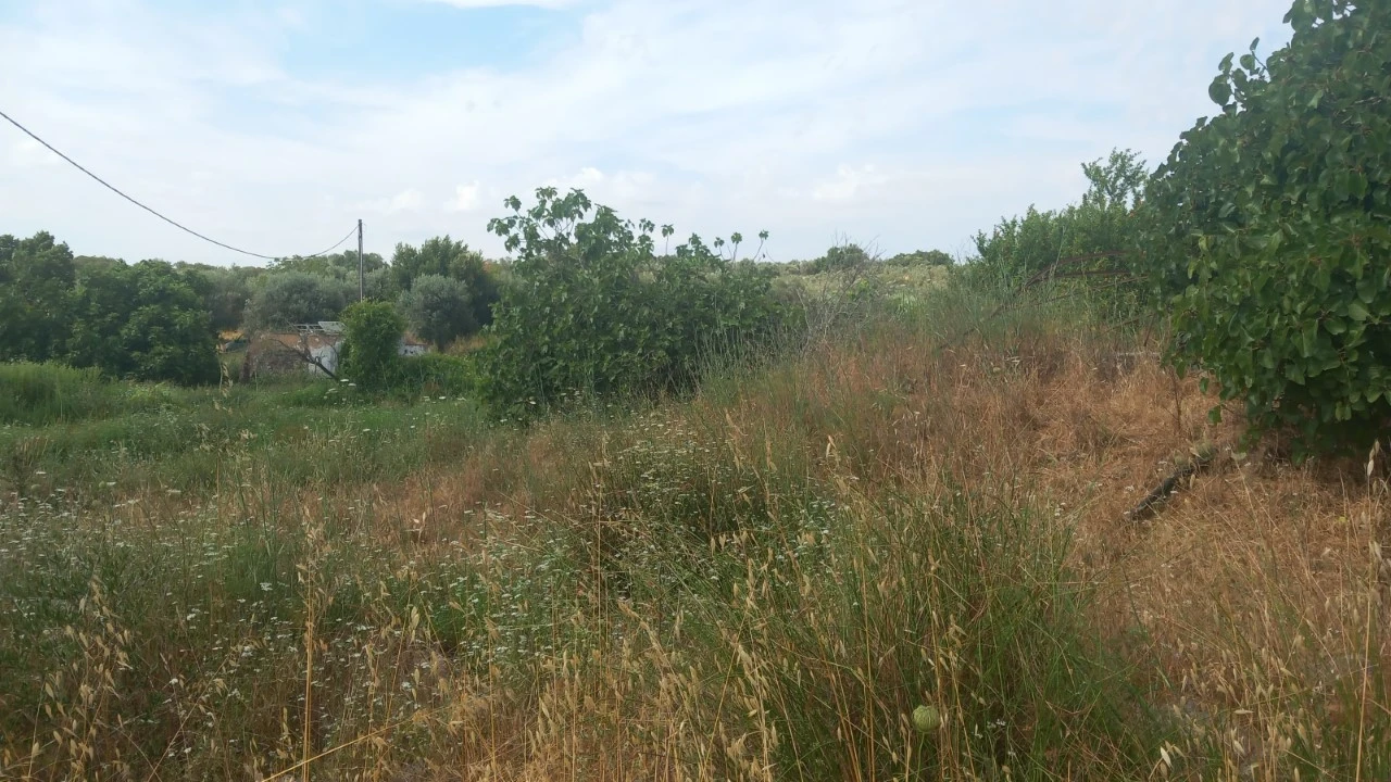 Moradia T8 para Venda em Barbacena e Vila Fernando Foto 32