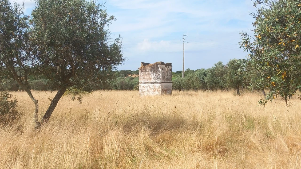 Moradia T8 para Venda em Barbacena e Vila Fernando Foto 40
