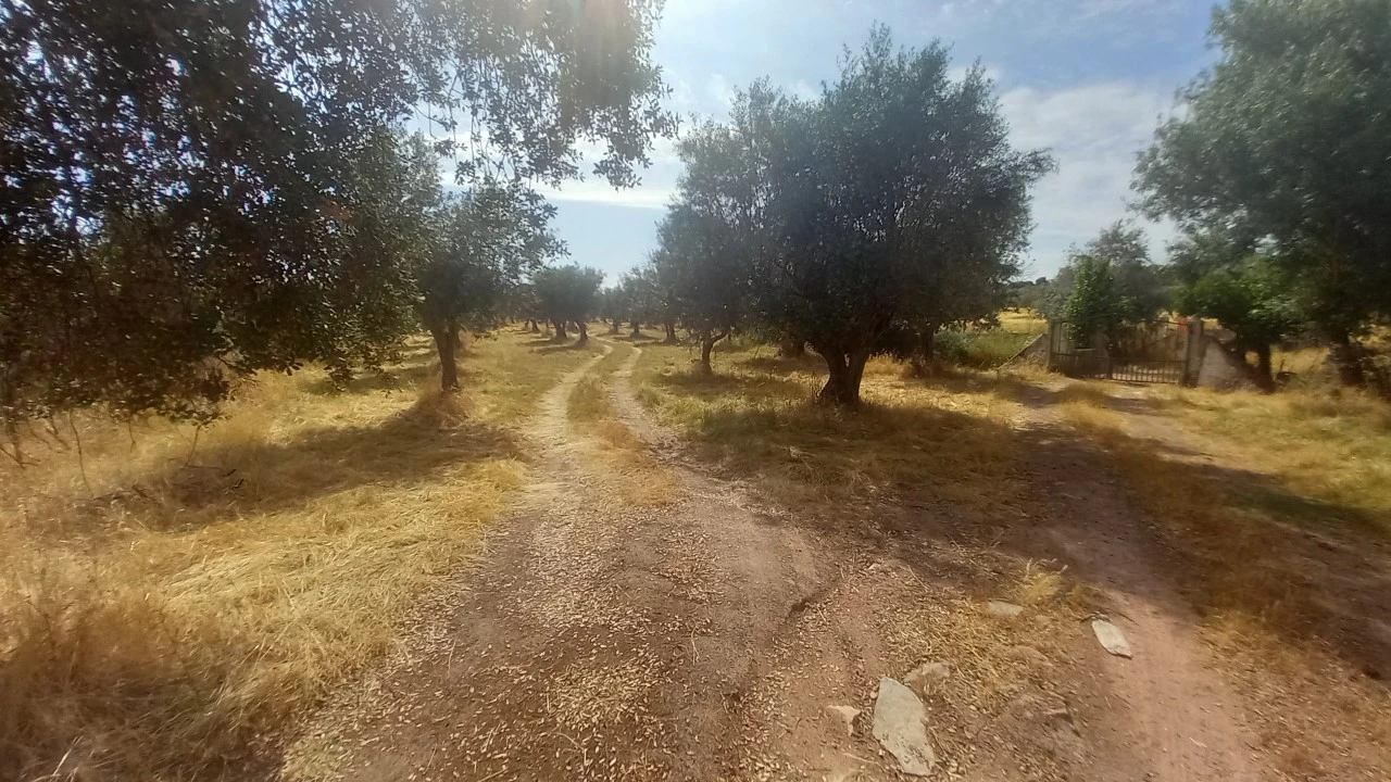 Moradia T8 para Venda em Barbacena e Vila Fernando Foto 41