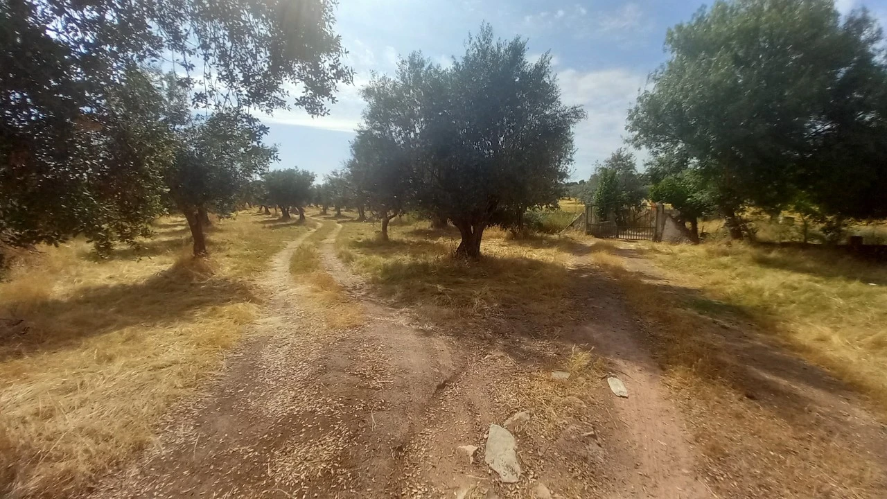 Moradia T8 para Venda em Barbacena e Vila Fernando Foto 43