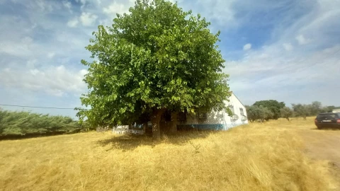 Moradia T8 para Venda em Barbacena e Vila Fernando