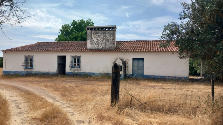 Moradia T8 para Venda em Barbacena e Vila Fernando Foto 4