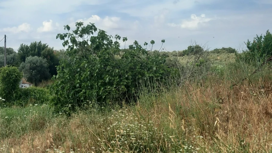Moradia T8 para Venda em Barbacena e Vila Fernando Foto 30