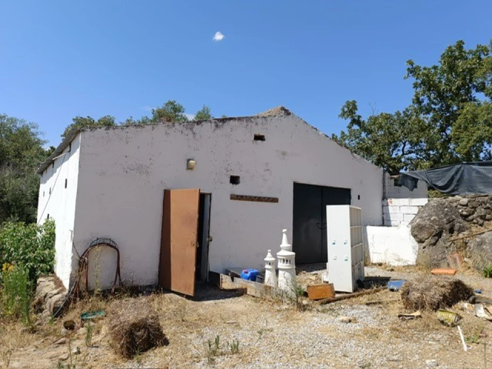 Quinta T3 para Venda em Ribeira de Nisa e Carreiras Foto 2