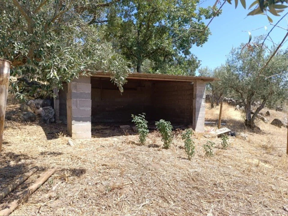 Quinta T3 para Venda em Ribeira de Nisa e Carreiras Foto 4
