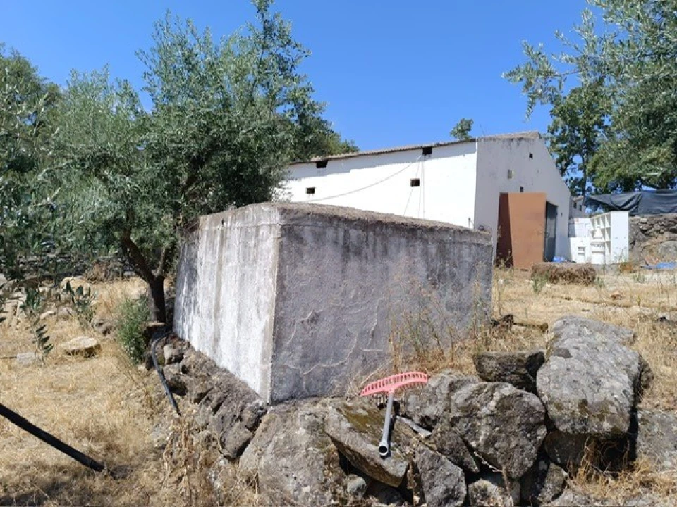 Quinta T3 para Venda em Ribeira de Nisa e Carreiras Foto 11