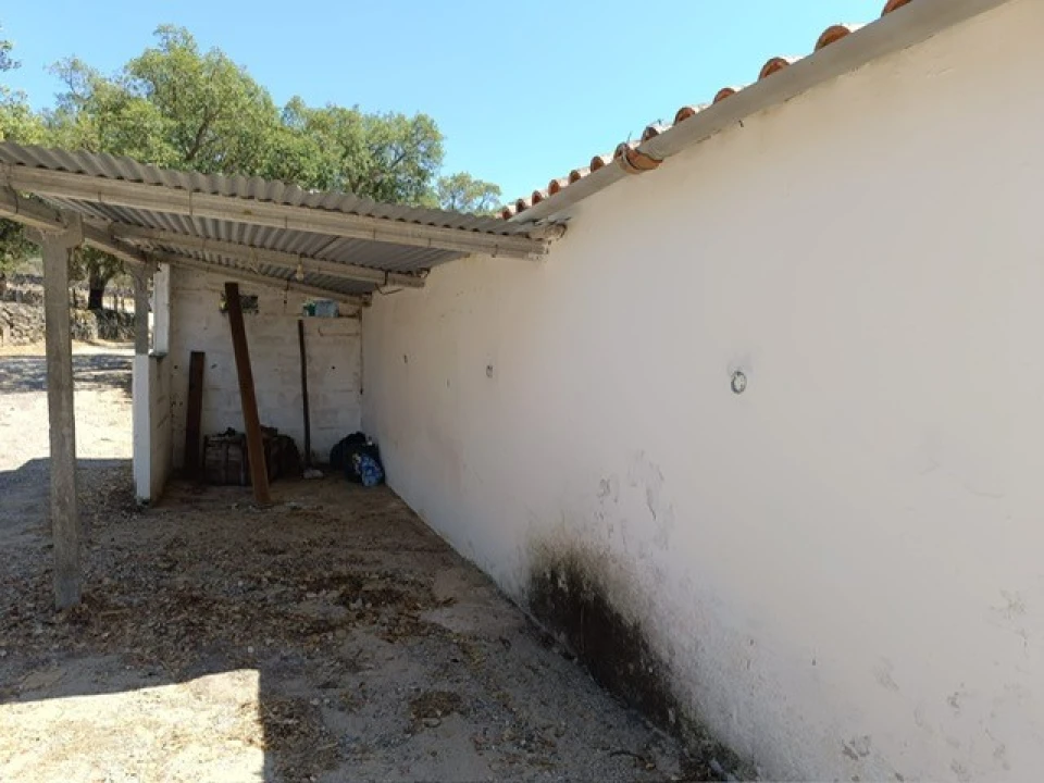 Quinta T3 para Venda em Ribeira de Nisa e Carreiras Foto 12