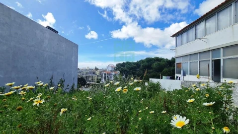 Terreno para Venda em Alcabideche
