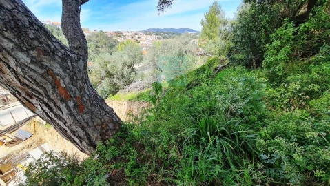 Terreno para Venda em Alcabideche