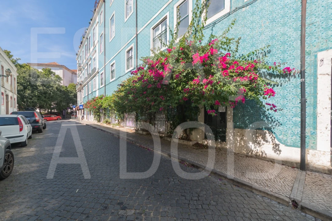 Apartamento T1 para Venda em São Vicente Foto 29