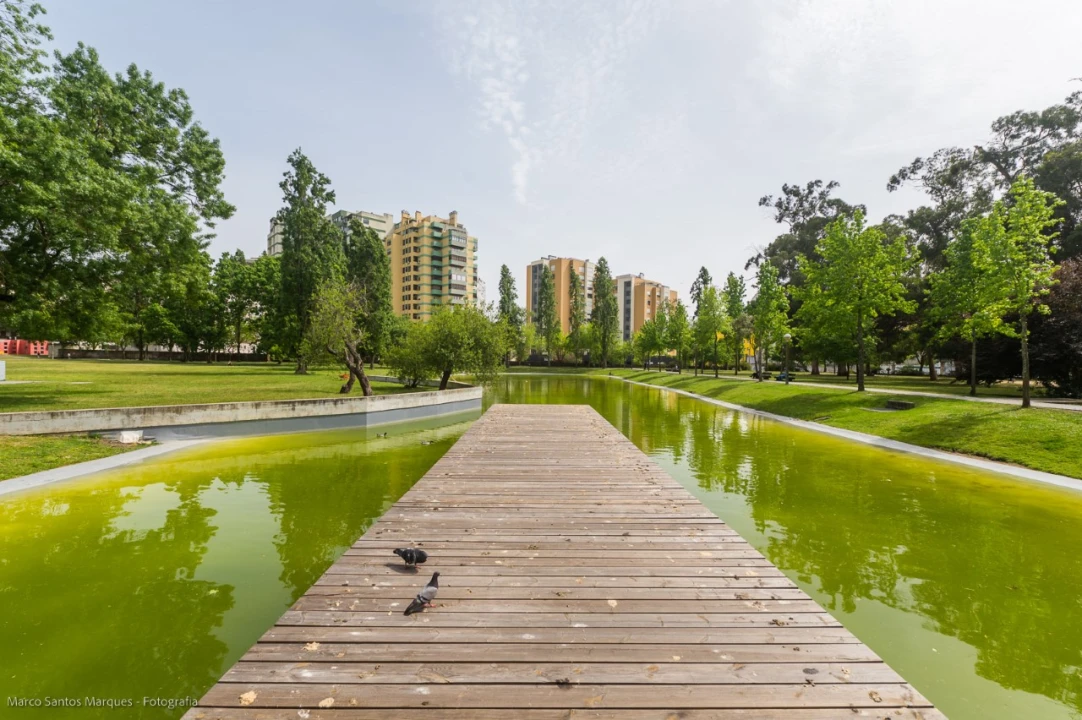 Apartamento T2 para Arrendamento em Lumiar Foto 48