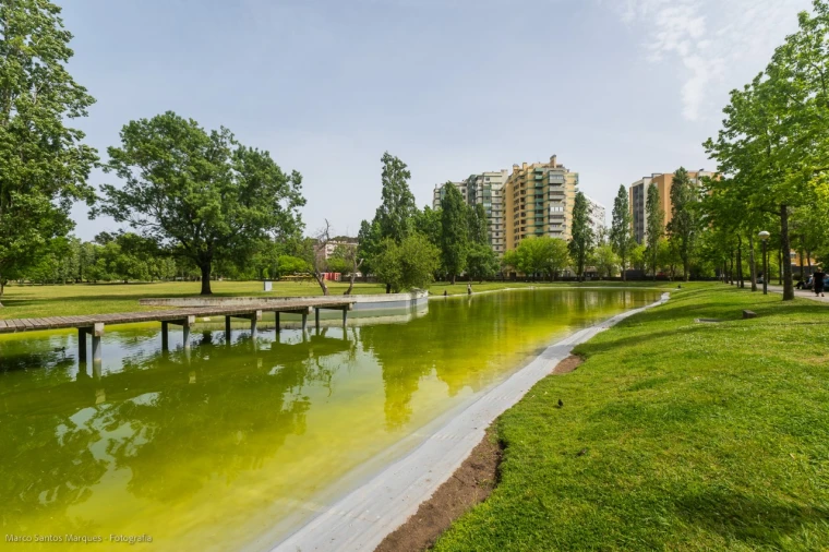 Apartamento T2 para Arrendamento em Lumiar Foto 49