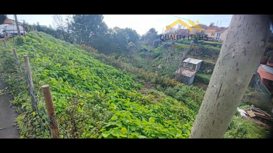 Terreno para Venda em Camacha