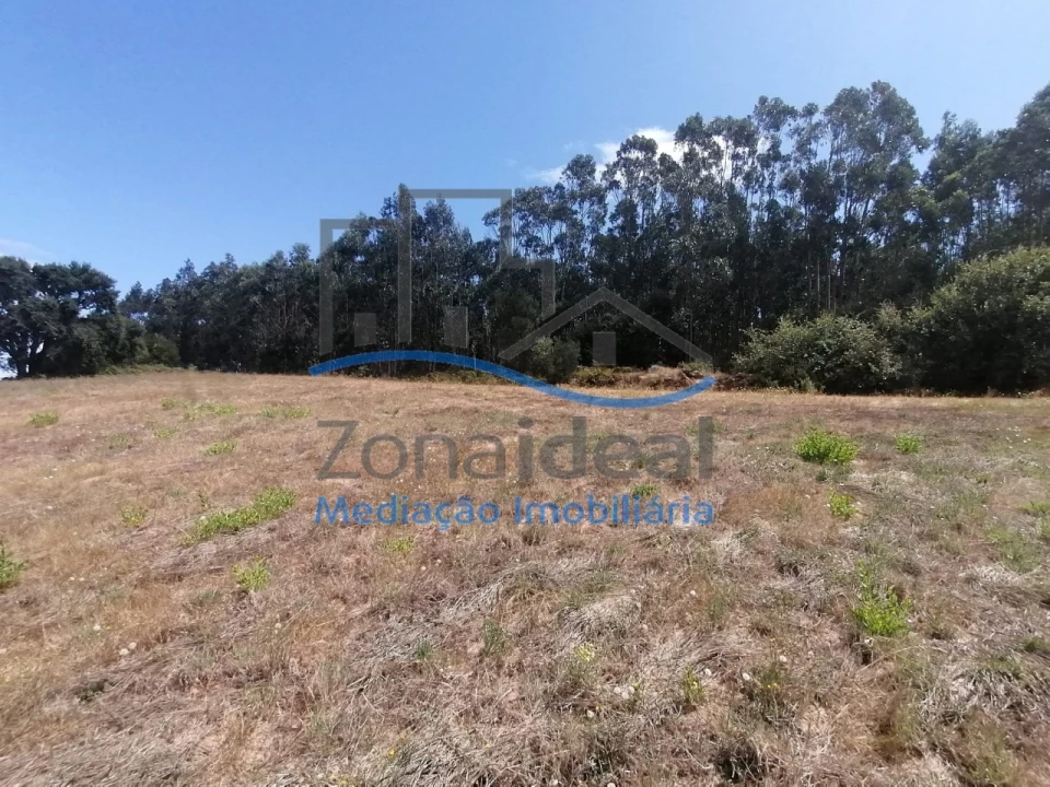 Terreno Agricola ou Rústico para Venda em Ventosa Foto 14