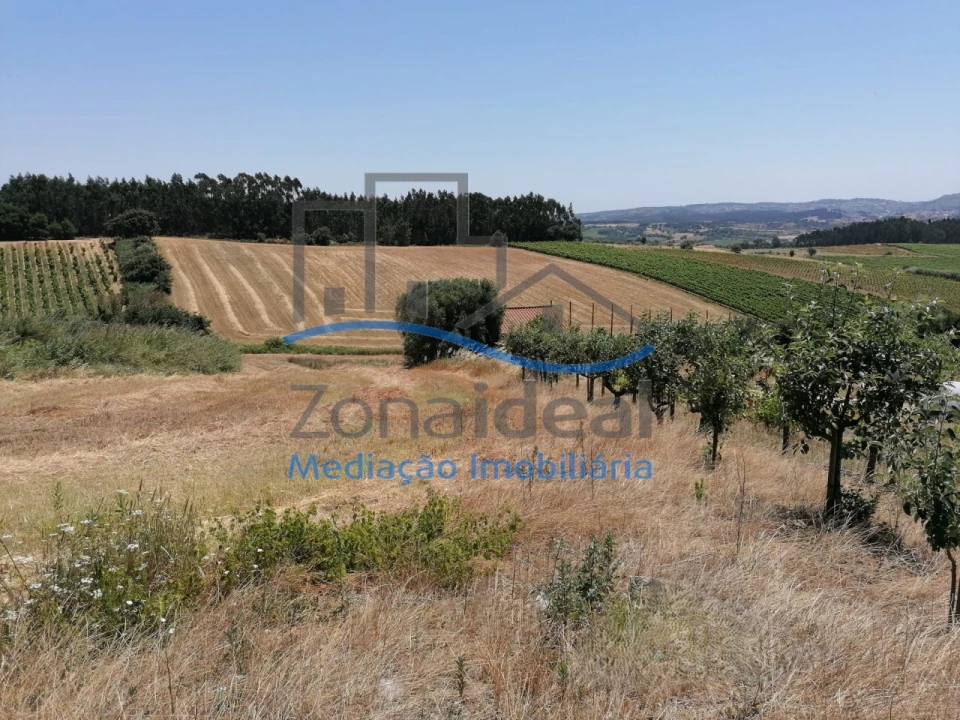 Terreno Agricola ou Rústico para Venda em Ventosa Foto 17