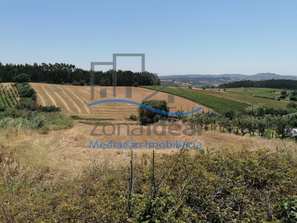 Terreno Agricola ou Rústico para Venda em Ventosa Foto 16