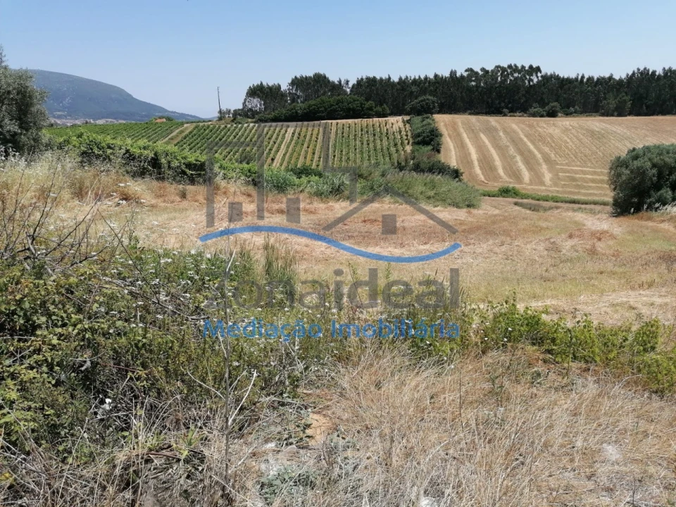 Terreno Agricola ou Rústico para Venda em Ventosa Foto 15