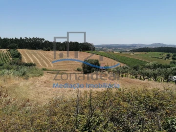 Terreno Agricola ou Rústico para Venda em Ventosa
