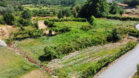Terreno para Venda em Alvora e Loureda