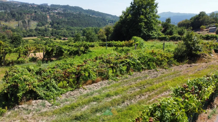 Terreno para Venda em Alvora e Loureda Foto 6