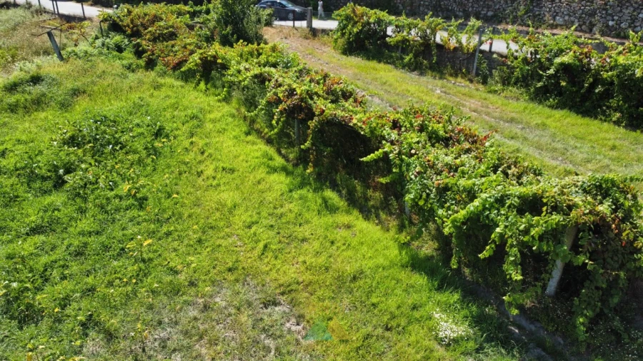 Terreno para Venda em Alvora e Loureda Foto 13